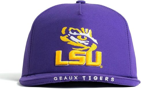 Dyme Lyfe Mens College Big Bill Snapback Hat OSFM in Saudi Arabia