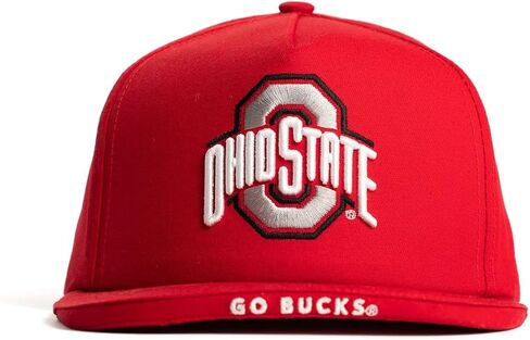 Dyme Lyfe Mens College Big Bill Snapback Hat OSFM in Saudi Arabia