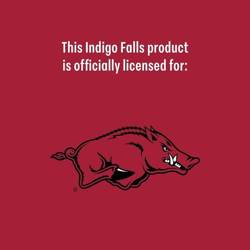 نظارات INDIGO FALLS College 14oz المحلية للصخور (متطوعو ولاية تينيسي) in Saudi Arabia