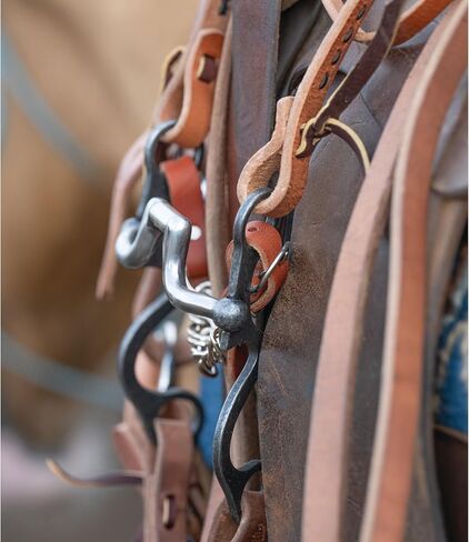 Weaver Equine Ken McNabb Buffed Black Sweet Iron Bits in Saudi Arabia
