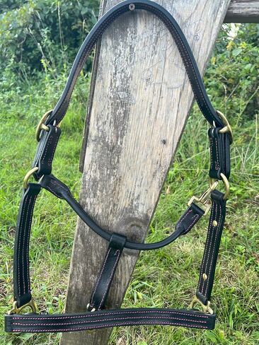 Leaders Leather Halter for Horses with Customized Engraved Name Plate Option Halter for Horse, Leather Halter Black Leather in Saudi Arabia