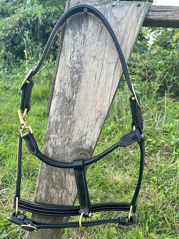 Leaders Leather Halter for Horses with Customized Engraved Name Plate Option Halter for Horse, Leather Halter Black Leather in Saudi Arabia