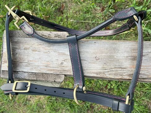 Leaders Leather Halter for Horses with Customized Engraved Name Plate Option Halter for Horse, Leather Halter Black Leather in Saudi Arabia