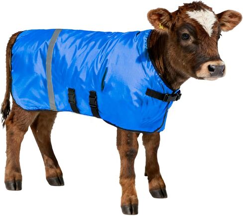 Calf Coat - Blue Calf Blanket for Winter, 1-Pack | Winter Blanket for Calves, Goats, Dogs, Foal, Donkey | Water Resistant & Adjustable Livestock Warmer in Saudi Arabia