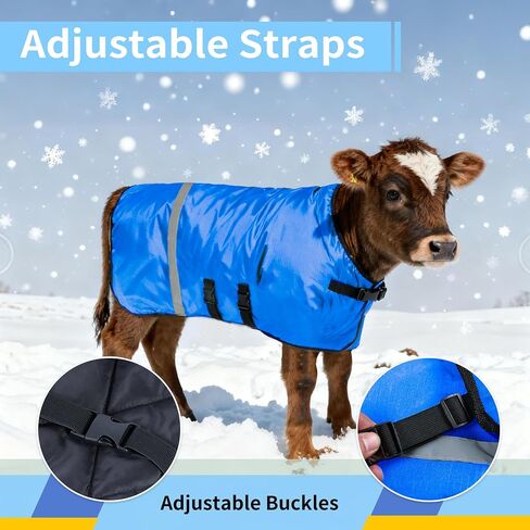 Calf Coat - Blue Calf Blanket for Winter, 1-Pack | Winter Blanket for Calves, Goats, Dogs, Foal, Donkey | Water Resistant & Adjustable Livestock Warmer in Saudi Arabia