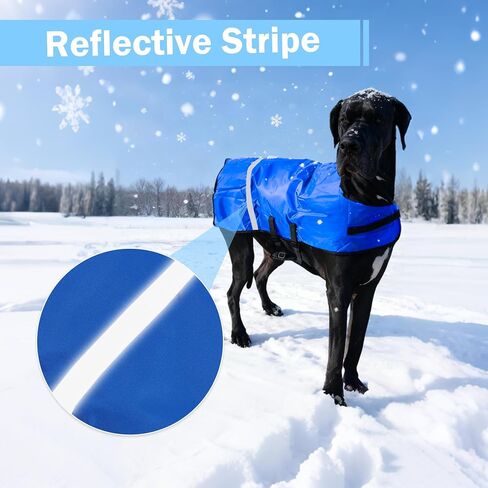 Calf Coat - Blue Calf Blanket for Winter, 1-Pack | Winter Blanket for Calves, Goats, Dogs, Foal, Donkey | Water Resistant & Adjustable Livestock Warmer in Saudi Arabia