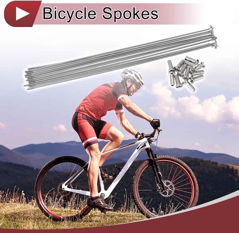 12 Set 14G Bicycle Spokes 269mm Bike Wheel Spokes 304 Stainless Steel Silver Tone in Saudi Arabia