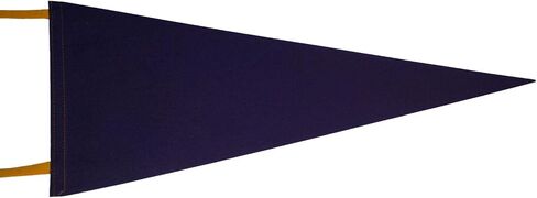 Vintage 1960s Texas Southern University Pennant 30x12" HBCU NMT 91796 in Saudi Arabia