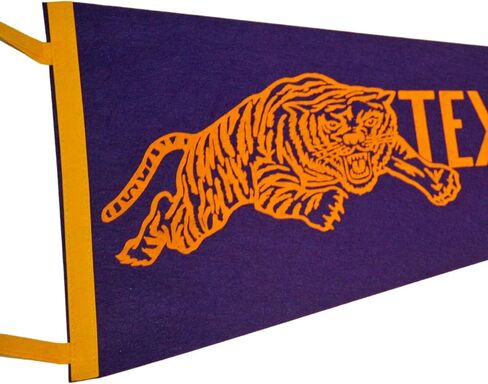 Vintage 1960s Texas Southern University Pennant 30x12" HBCU NMT 91796 in Saudi Arabia
