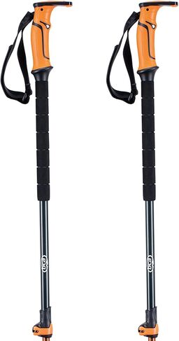 Backcountry Access Scepter Aluminum in Saudi Arabia