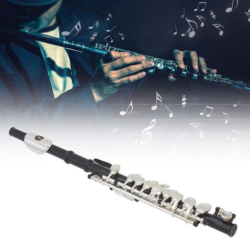 16 Hole Piccolo Set Metal Piccolo Key Of C with Cleaning Cloth Screwdriver and Bar for Beginners Students Performance (Black) in Saudi Arabia