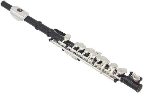 16 Hole Piccolo Set Metal Piccolo Key Of C with Cleaning Cloth Screwdriver and Bar for Beginners Students Performance (Black) in Saudi Arabia