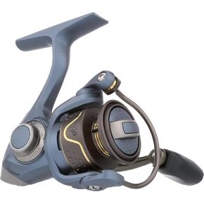 Pflueger President Spinning Fishing Reel