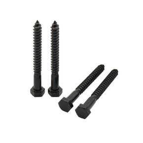 LBY 10pcs 5/16" x 3" Lag Screws, Hex Head Lag Screws Bolts, Wood Screws, 304 Stainless Steel, (Black)