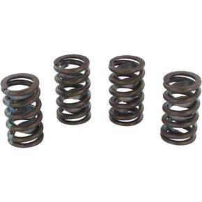 Elgin RV-9915XQ4 High Performance Valve Spring (Box of 4)