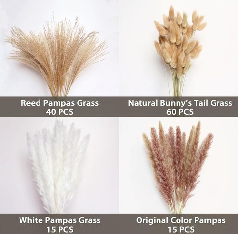 Dried Pampas Grass, Boho Decor 130PCS Natural Reed Phragmites Grass + Brown & White Pampas Grass + Bunny Tails Flowers Bouquet for Wedding Floral Arrangements Home Table Wall, Rustic Farmhouse Party in Saudi Arabia