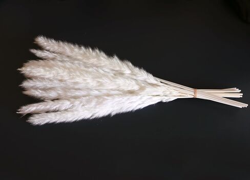 Dried Pampas Grass, Boho Decor 130PCS Natural Reed Phragmites Grass + Brown & White Pampas Grass + Bunny Tails Flowers Bouquet for Wedding Floral Arrangements Home Table Wall, Rustic Farmhouse Party in Saudi Arabia
