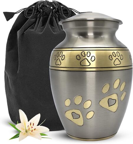 Medium Urns for Pet Ashes - Pet Cremation Urn for Dogs & Cats - Honor Your Loved Furry Friend with Pet Ashes Urn - Pet Memorial Urn for Dogs & Cats - Paw Print Urn for Pets (Silver, Medium) in Saudi Arabia