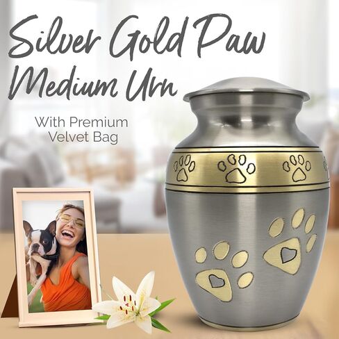 Medium Urns for Pet Ashes - Pet Cremation Urn for Dogs & Cats - Honor Your Loved Furry Friend with Pet Ashes Urn - Pet Memorial Urn for Dogs & Cats - Paw Print Urn for Pets (Silver, Medium) in Saudi Arabia
