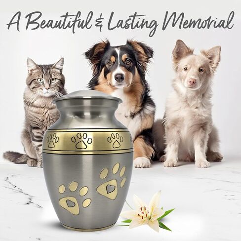 Medium Urns for Pet Ashes - Pet Cremation Urn for Dogs & Cats - Honor Your Loved Furry Friend with Pet Ashes Urn - Pet Memorial Urn for Dogs & Cats - Paw Print Urn for Pets (Silver, Medium) in Saudi Arabia