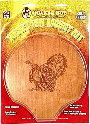 كويكر بوي - طقم تركيب المروحة واللحية، متعدد الألوان in Kuwait