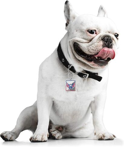 NHL Pet Collar Charm in Saudi Arabia
