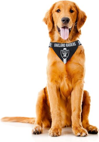 Littlearth NFL Unisex-Adult Pet Bandana in Saudi Arabia