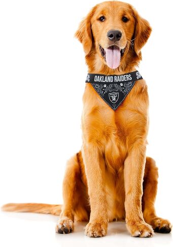 Littlearth NFL Unisex-Adult Pet Bandana in Saudi Arabia