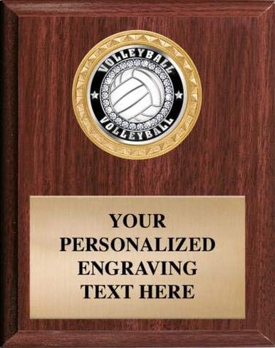 Volleyball Plaques Make A Great Award & Trophy. You Can Add Your Own Free Engraving. in Saudi Arabia