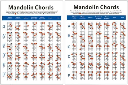Mandolin Chord Chart Laminated Book for Beginners Large Size Mandolin Diagram in Saudi Arabia