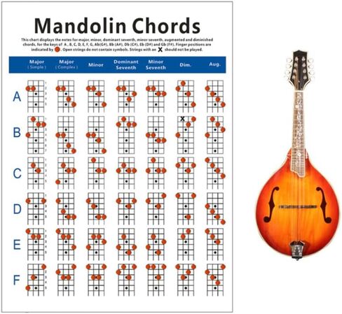 Mandolin Chord Chart Laminated Book for Beginners Large Size Mandolin Diagram in Saudi Arabia