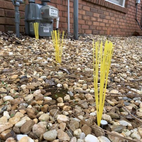 Ground Marking Whiskers Yellow 6 Inch 500-Count (Flags only, no Nails) for Survey, Landscape Design, Construction Markers, Property Line Markers, Trail Markers in Saudi Arabia