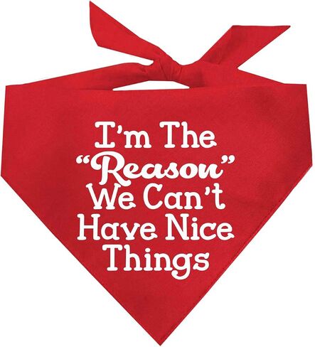 I'm The Reason We Can't Have Nice Things Dog Bandana (Hot Pink, OS 110) in Saudi Arabia