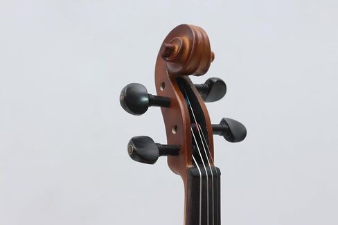 Generic 16inch Full Size Black Viola Maple Spruce Wood Ebony Fittings with Viola Case Bow (Brown) in Saudi Arabia