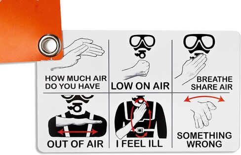 Submersible Scuba Diving Hand Signal Cards in Saudi Arabia