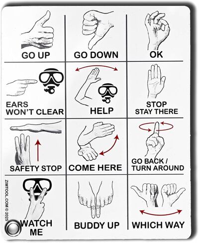 Submersible Scuba Diving Hand Signal Cards in Saudi Arabia