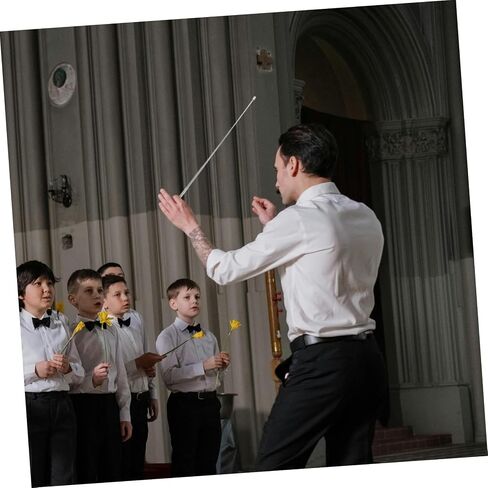 Vaguelly Musical Instrument Conducting Stick for Choir and Orchestra Use Lightweight Stainless Wand Reusable Performance Accessory for Concerts and Events in Saudi Arabia