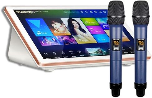 DAM117 12TB HDD 210K Chinese Mandarin Cantonese English Vienamese Songs 19" Touch Screen Karaoke Player Cloud Download in Saudi Arabia