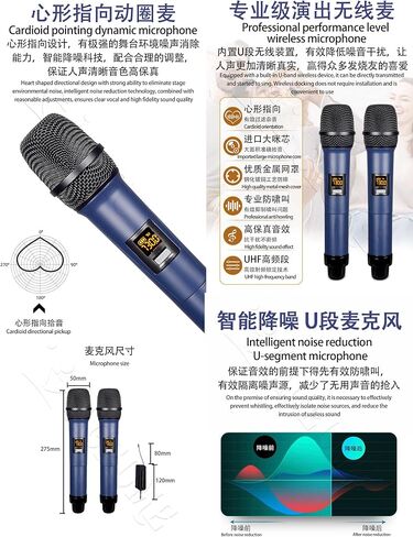 DAM117 12TB HDD 210K Chinese Mandarin Cantonese English Vienamese Songs 19" Touch Screen Karaoke Player Cloud Download in Saudi Arabia