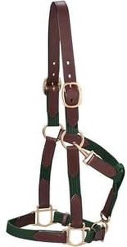 Dover Saddlery Web Halter, Size Oversize-O/S in Saudi Arabia
