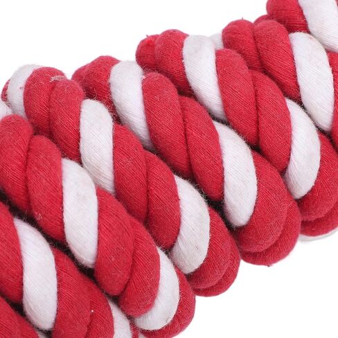 Pilipane Horse Cotton Braided Leading Rope Soft Durable Secure Hardware for Training Horses and Livestock Premium Cotton Material in Saudi Arabia