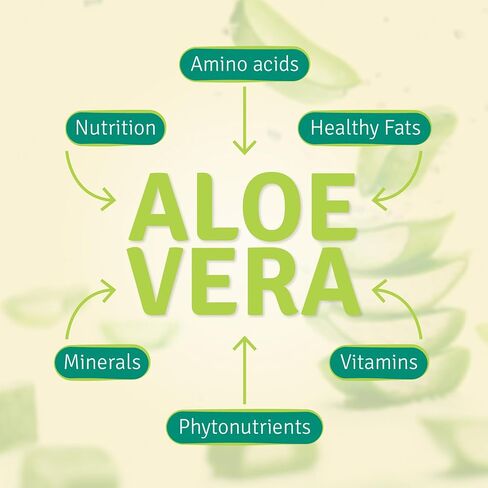 Aloe Life - Whole Leaf Aloe Vera Juice Concentrate, Soothing Relief for Indigestion, Antioxidant Catalyst, Supports Energy & Wellness, Certified Organic Aloe Leaves, Gluten-Free (Orange Papaya, 16 oz) in Saudi Arabia
