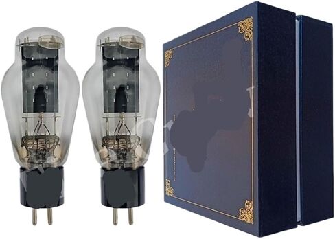 WE300B أنبوب 1:1 WE 300B يستبدل 300BN 300BT E300B HiFi الصوت مُضخّم صوت (1 قطعة) in Kuwait