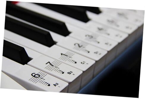 BESTonZON Key Piano Keyboard Stickers Music Notes Piano Stickers for Electronic Keyboard in Saudi Arabia