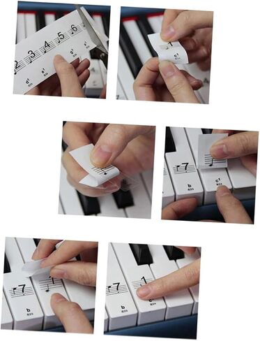 BESTonZON Key Piano Keyboard Stickers Music Notes Piano Stickers for Electronic Keyboard in Saudi Arabia