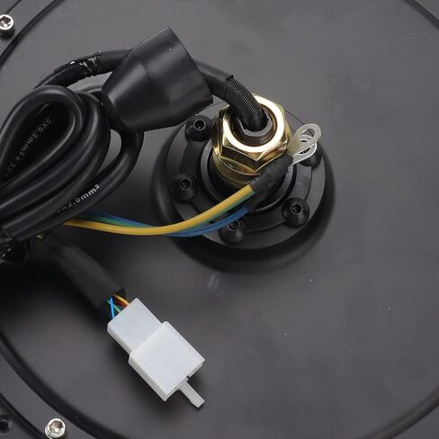 48V 2000W DC Electric Front Wheel Hub Motor in Saudi Arabia