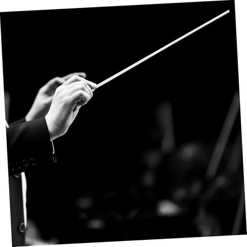 Music Conducting Baton Metal Baton for Symphony Orchestras String Ensembles Comfortable Grip for Conductors in Saudi Arabia