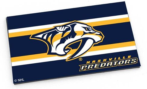 Aminco NHL Nashville Predators Striped Magnet in Saudi Arabia