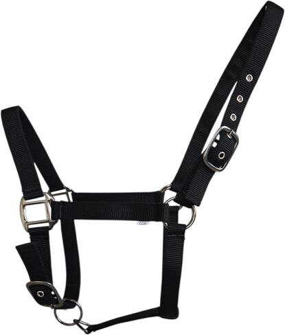 Adjustable Horse Halter, Nylon with Metal Hardware, Black in Saudi Arabia