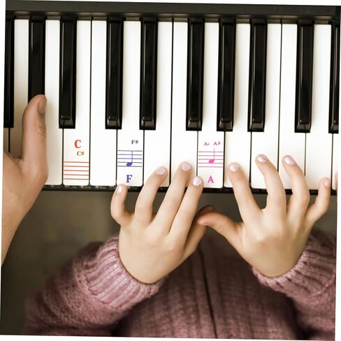 BESPORTBLE Colorful Piano Keyboard Stickers 88-Key Decals for Beginners 2-Piece Set of Piano Introductory Stickers for Easy Learning in Kuwait